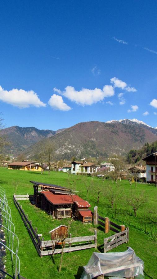 B&B Dalla Fattoria Della Patty Pieve Di Ledro Eksteriør bilde